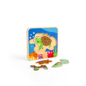 Puzzle du cycle de vie - tortue de mer