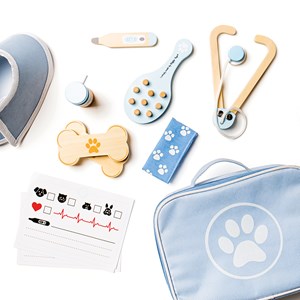 Ensemble de jeu vétérinaire pour enfants