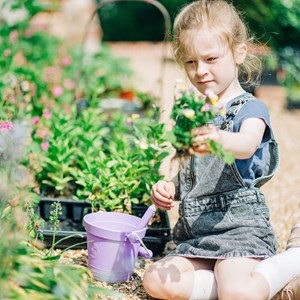 Seau de plage en silicone violet