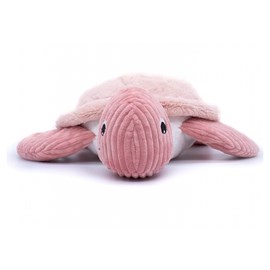 Ptipotos  tortue geante rose