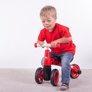 Diditrike, children's trike - ladybird