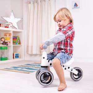 Diditrike, children's trike - zebra