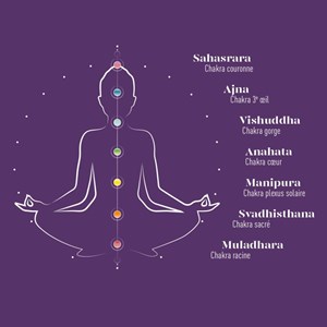 Sachets bio aubépine & camomille