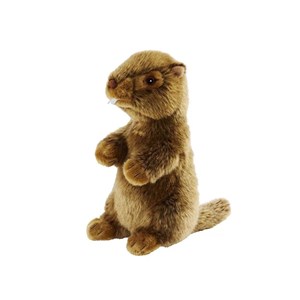 Marmotte  25cm