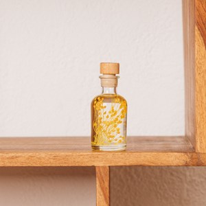 Offre 3 plantes immergées acidulées