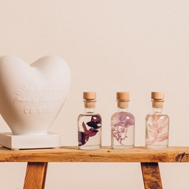 Offre 3 herbariums violet, lilas et rose