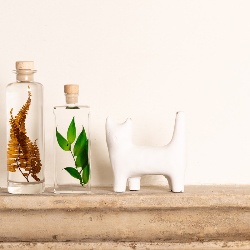 Théophile berthon 1867 - Offre 2 plantes naturelles immergées