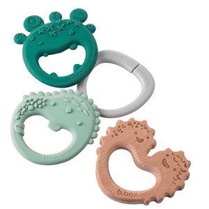 Lot de 3 anneaux de dentition - ver