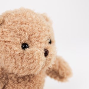 Petit ours en peluche morris