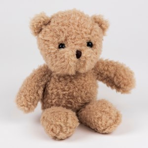 Petit ours en peluche morris
