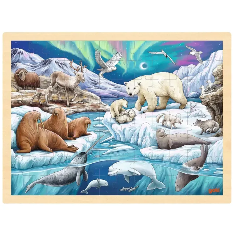 Puzzle nuit polaire