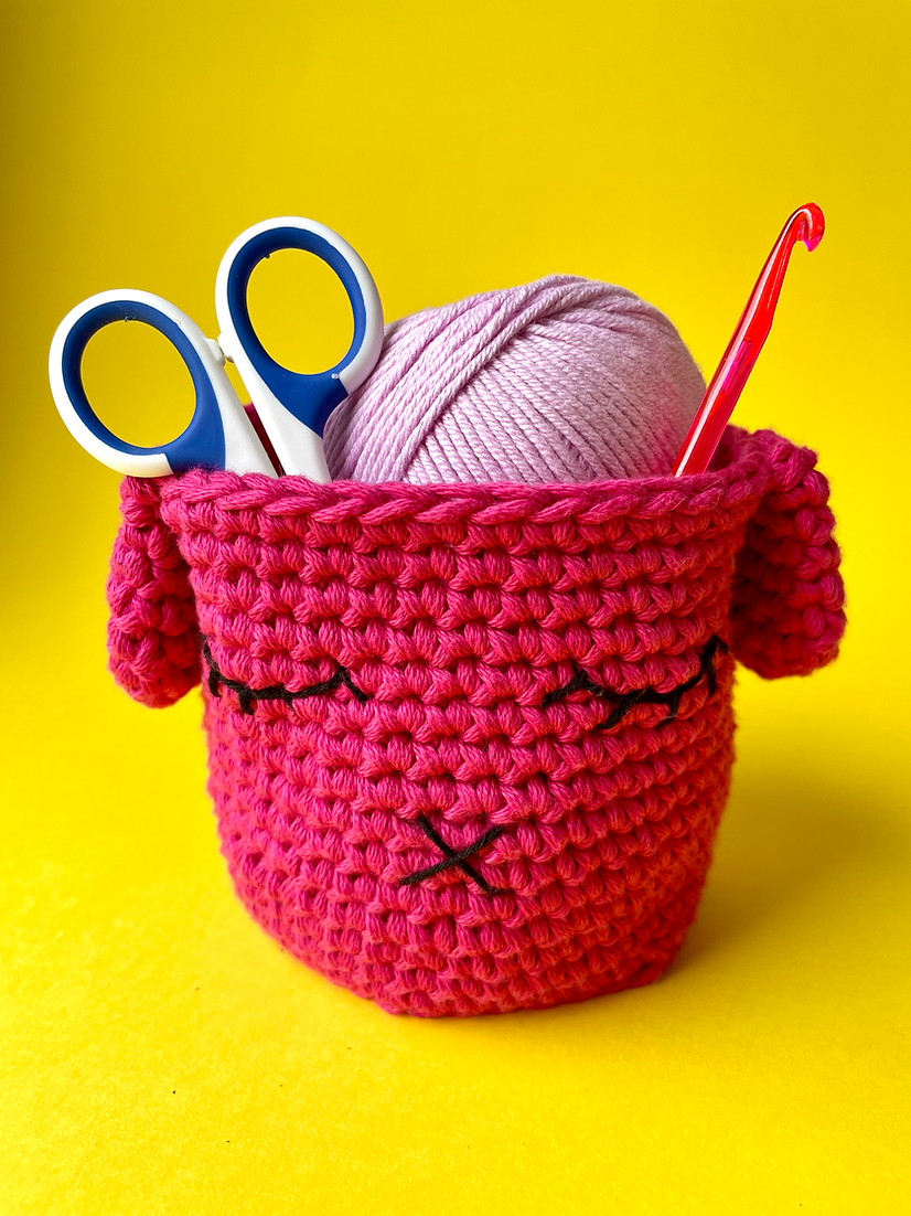 Kit De Crochet Débutant Pour Paniers Ronds - Inclus Fil, Crochet Et Patron (lot Complet) - 7