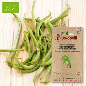 Haricot reine du neckar- graines bio à s