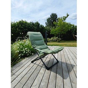 Fiesta soft alu ant oléfine vert sauge