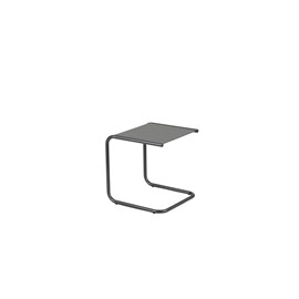 Club aluminium ant