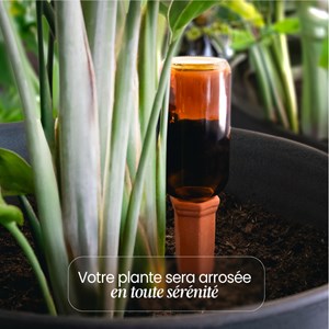 Lot de 4 cônes d'arrosage terre cuite