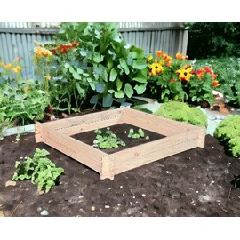 Potager amandine douglas