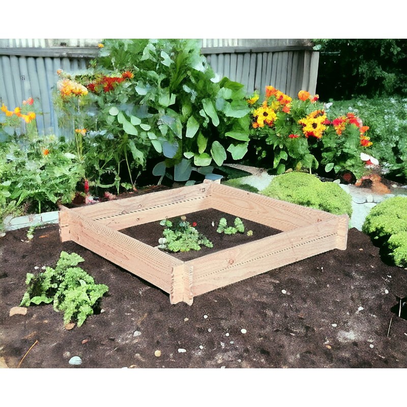 Potager amandine douglas