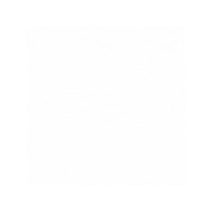 Oeuf vibrant télécommandé pour couple