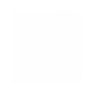 Oeuf vibrant télécommandé pour couple Rose