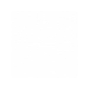 Oeuf vibrant télécommandé pour couple