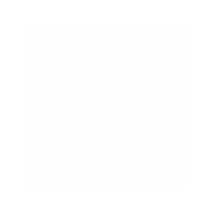 Oeuf vibrant télécommandé pour couple Violet