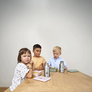 Gourde en inox 500 ml tipi