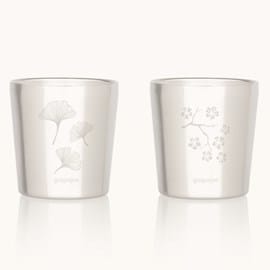 Set de 2 tasse inox arty gingko - c