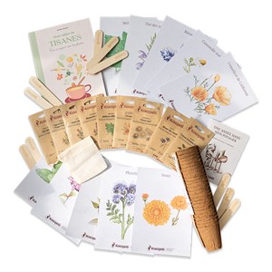 Box de graines bio plantes à tisanes