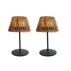 Lot de 2 lampes de table twins raffy