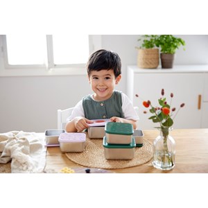 Lot de 3 boites gigognes en inox ha