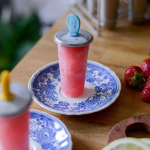 6 moules à glaces freezy 120 ml