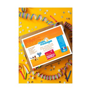Box anniversaire magnets animaux