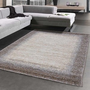 Tapis salon 200x290 marron
