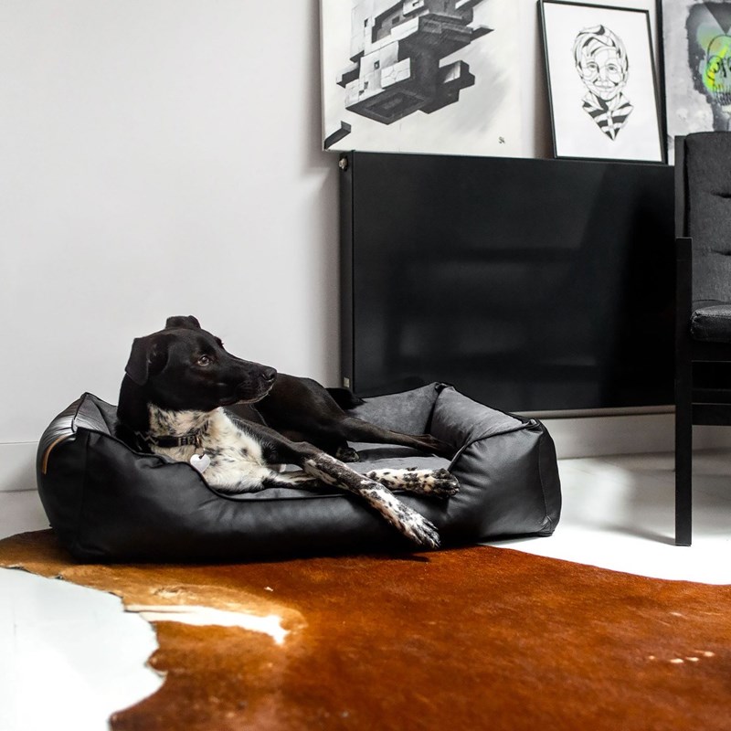 Rexproduct - Kuma, panier chien cuir végan noir xxl