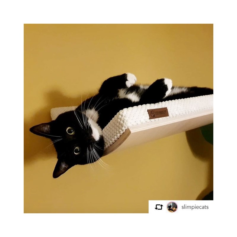 Cosyandozy - Kissa, etagère chat blanc, bois érable