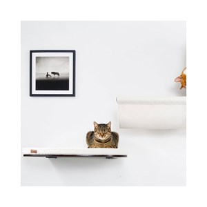 Pilvi, arbre à chat blanc, bois wengé