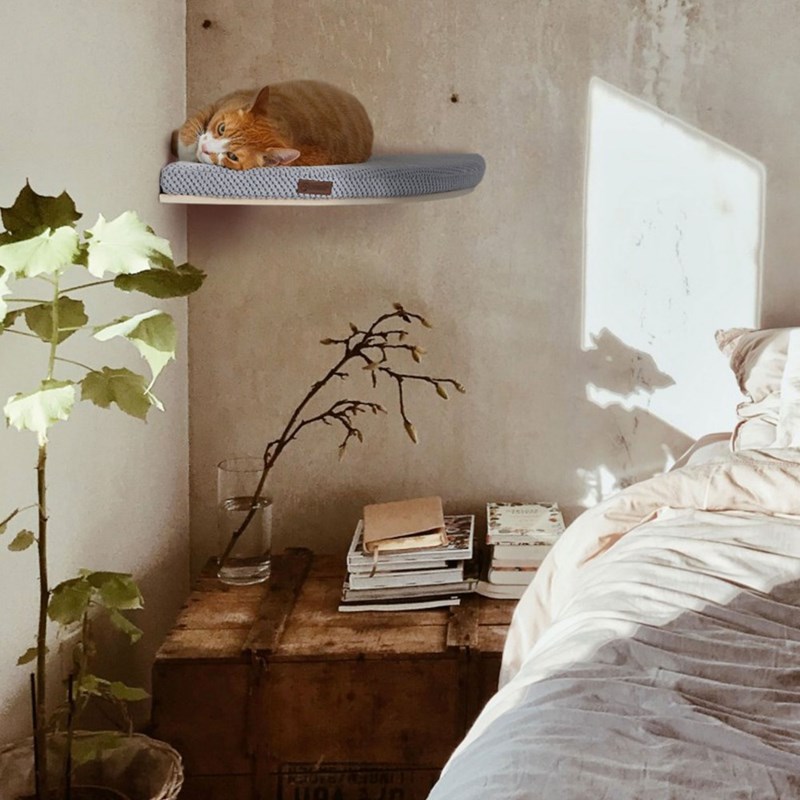 Cosyandozy - Korner, etagère chat angle blanc érable