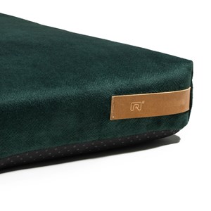 Muovi, tapis chien-chat vert s