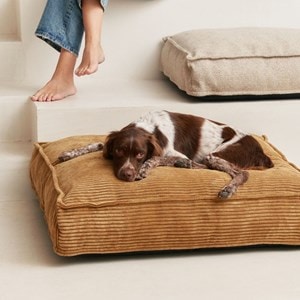 Quattro, lit chien en velours bronze l