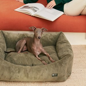 Cama, panier chien chat velours vert s
