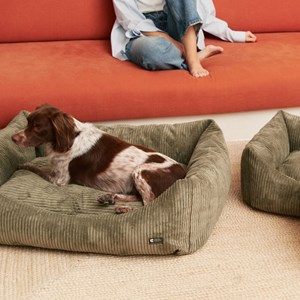 Cama, panier chien chat velours vert s