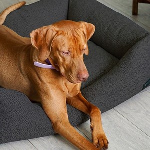 Cesta, panier chien chat tissu noir m