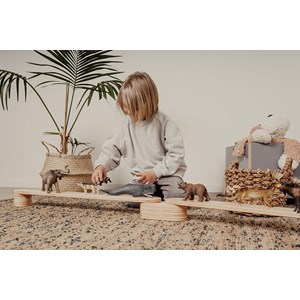 Poutre d'équilibre lot x6