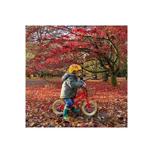 Draisienne moonbug 12 pouces 2-4 ans Rouge