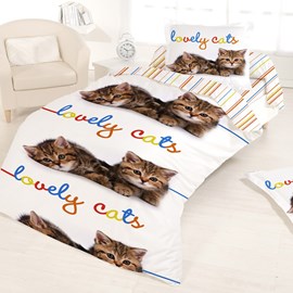 Housse de couette 140x200 finn + taie co