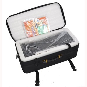 Jumelles d'astronomie egeon 25-40x100