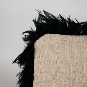 Housse de coussin écru et plumes noires