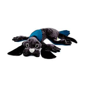 Chien lesté manimo 1kg