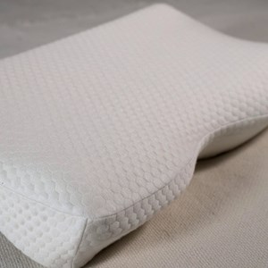 Oreiller de luxe + taie rafraîchissante